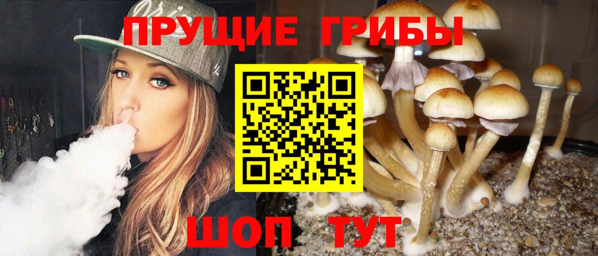 Новотроицк  Псилоцибиновые грибы ЛСД  Вход с VPN 