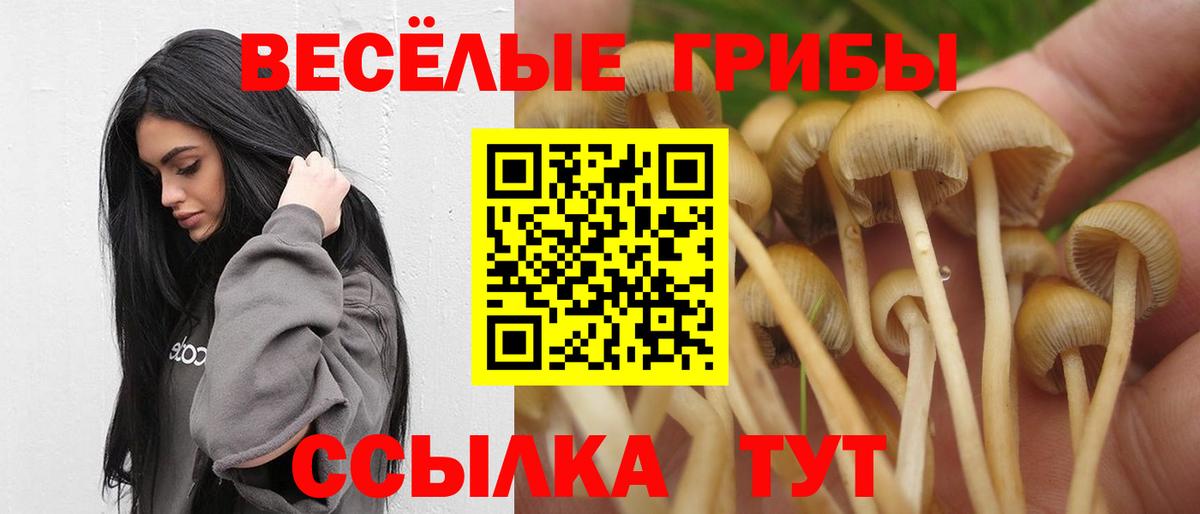 Псилоцибиновые грибы MAGIC MUSHROOMS Новотроицк